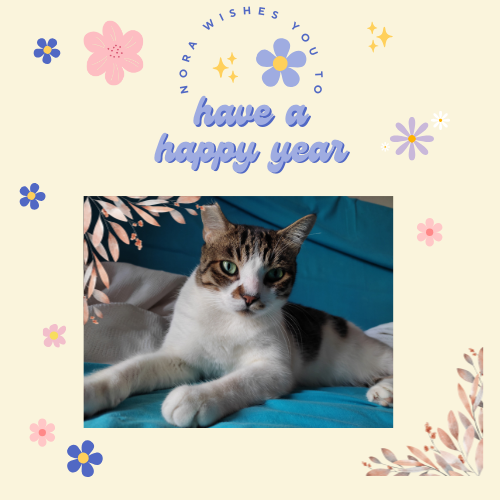 Nora laying on a couch staring us